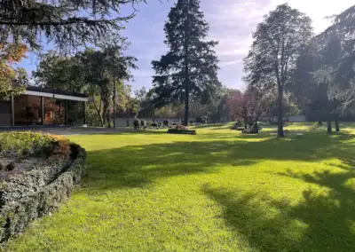 Area esterna con prato curato e alberi secolari, perfetta per eventi e momenti di relax.